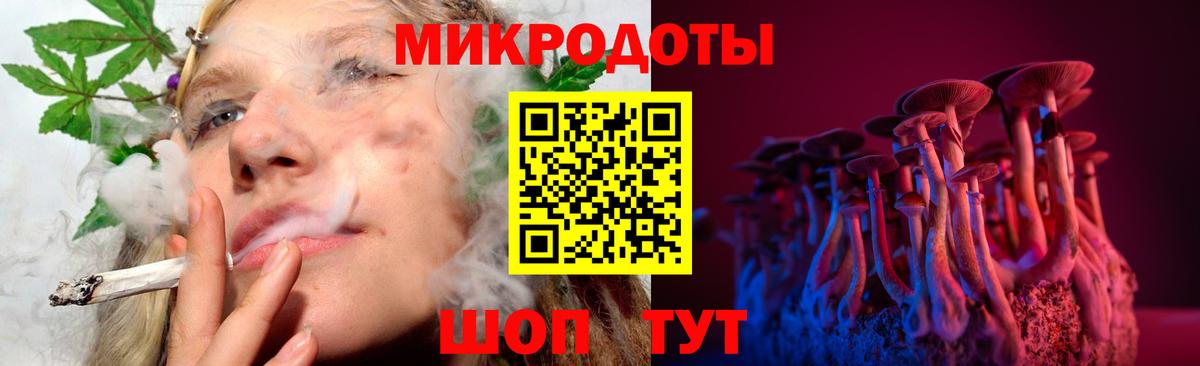 Псилоцибиновые грибы Psilocybe Тельмана